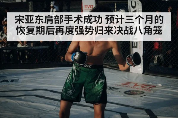 宋亚东肩部手术成功 预计三个月的恢复期后再度强势归来决战八角笼
