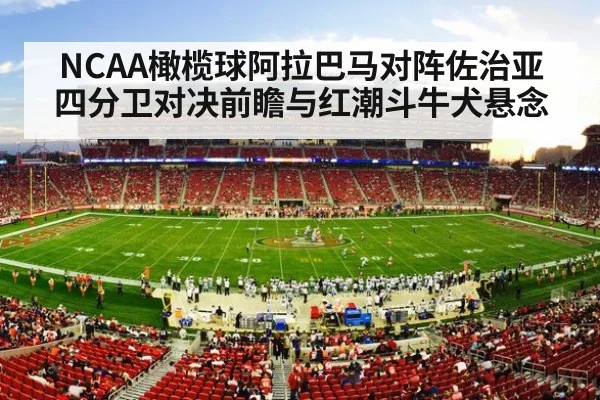 american football stadium crowd